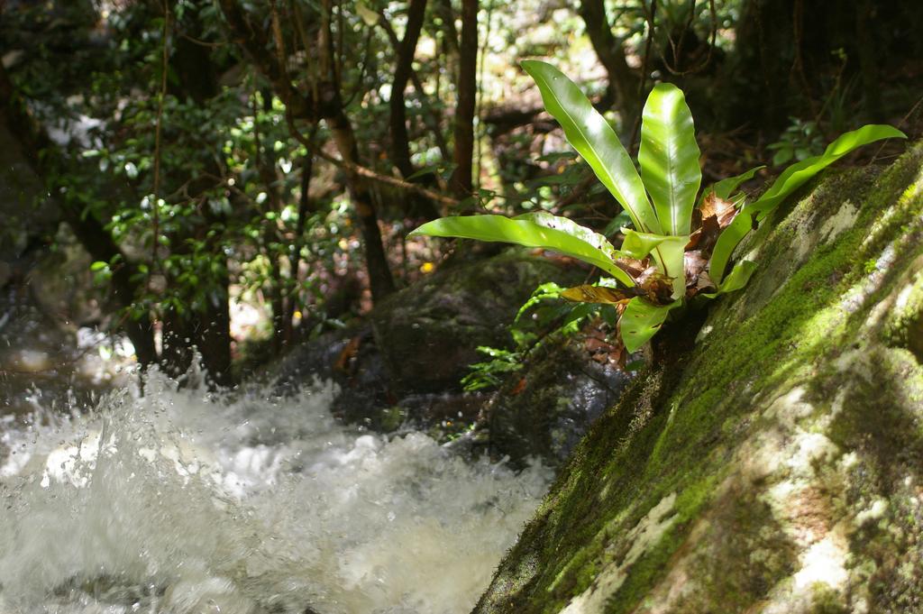 Bellthorpe Stays Maleny Esterno foto
