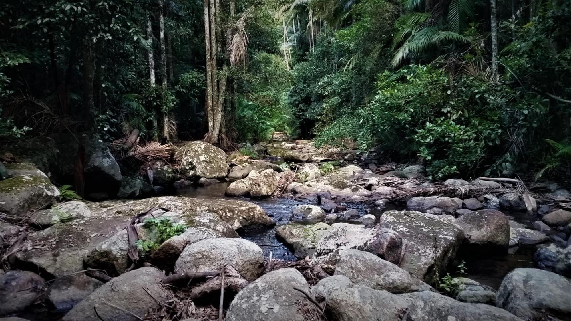 Bellthorpe Stays Maleny Esterno foto