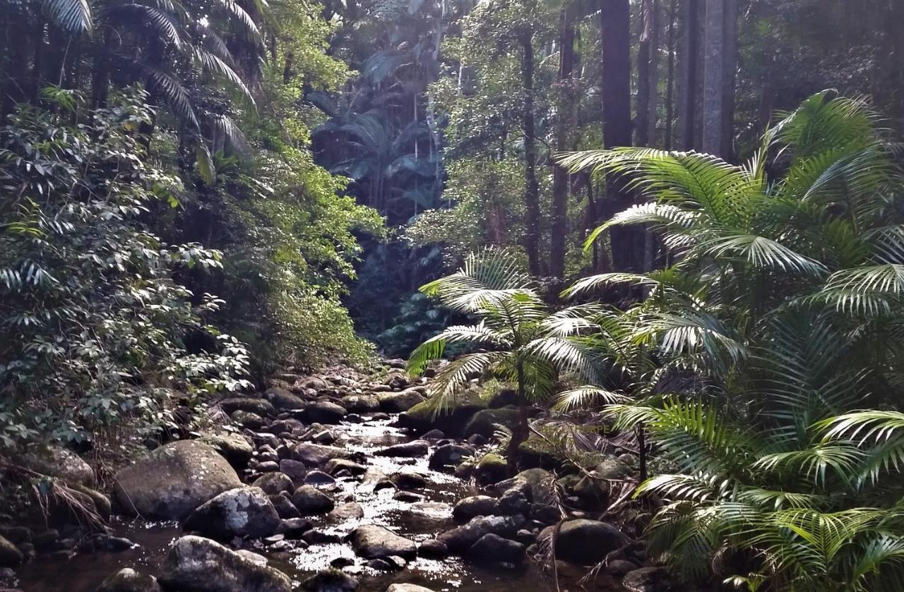 Bellthorpe Stays Maleny Esterno foto