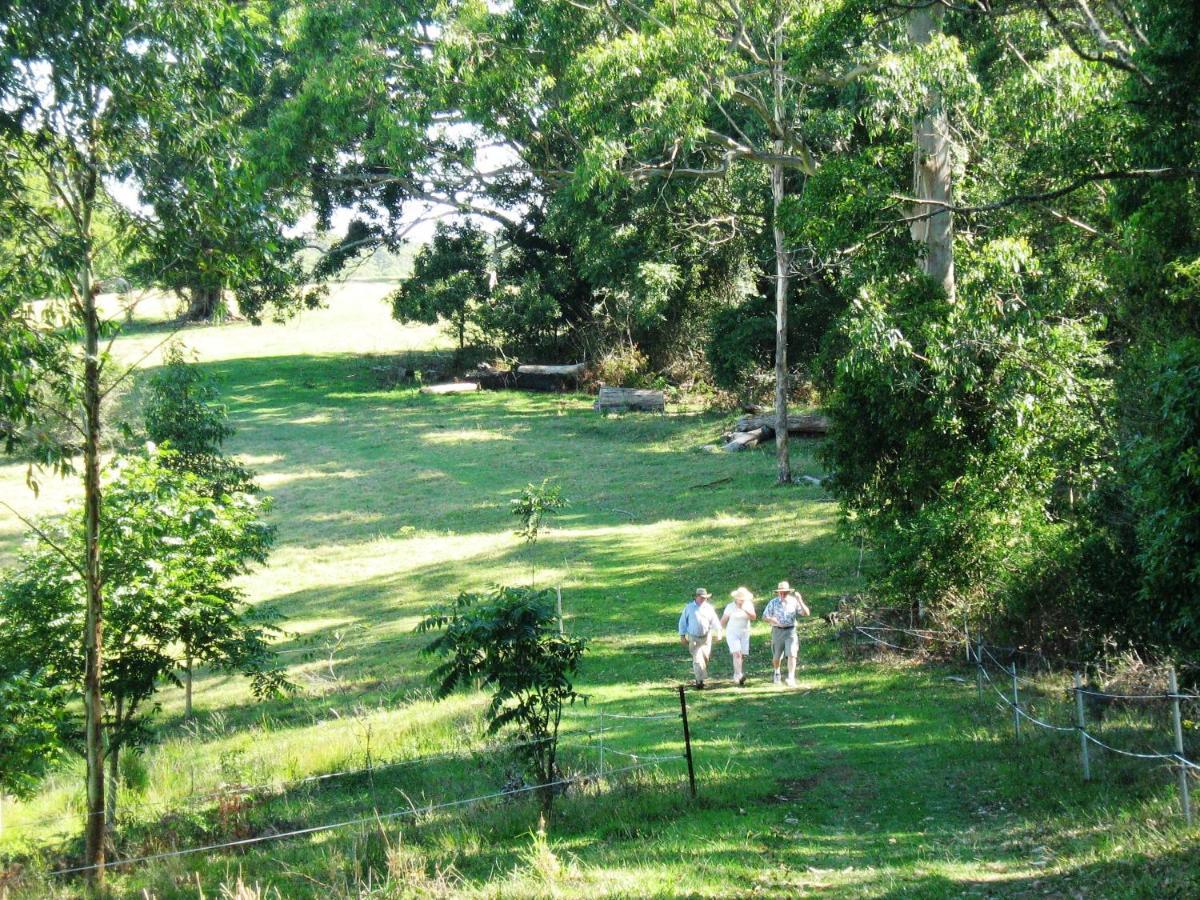 Bellthorpe Stays Maleny Esterno foto
