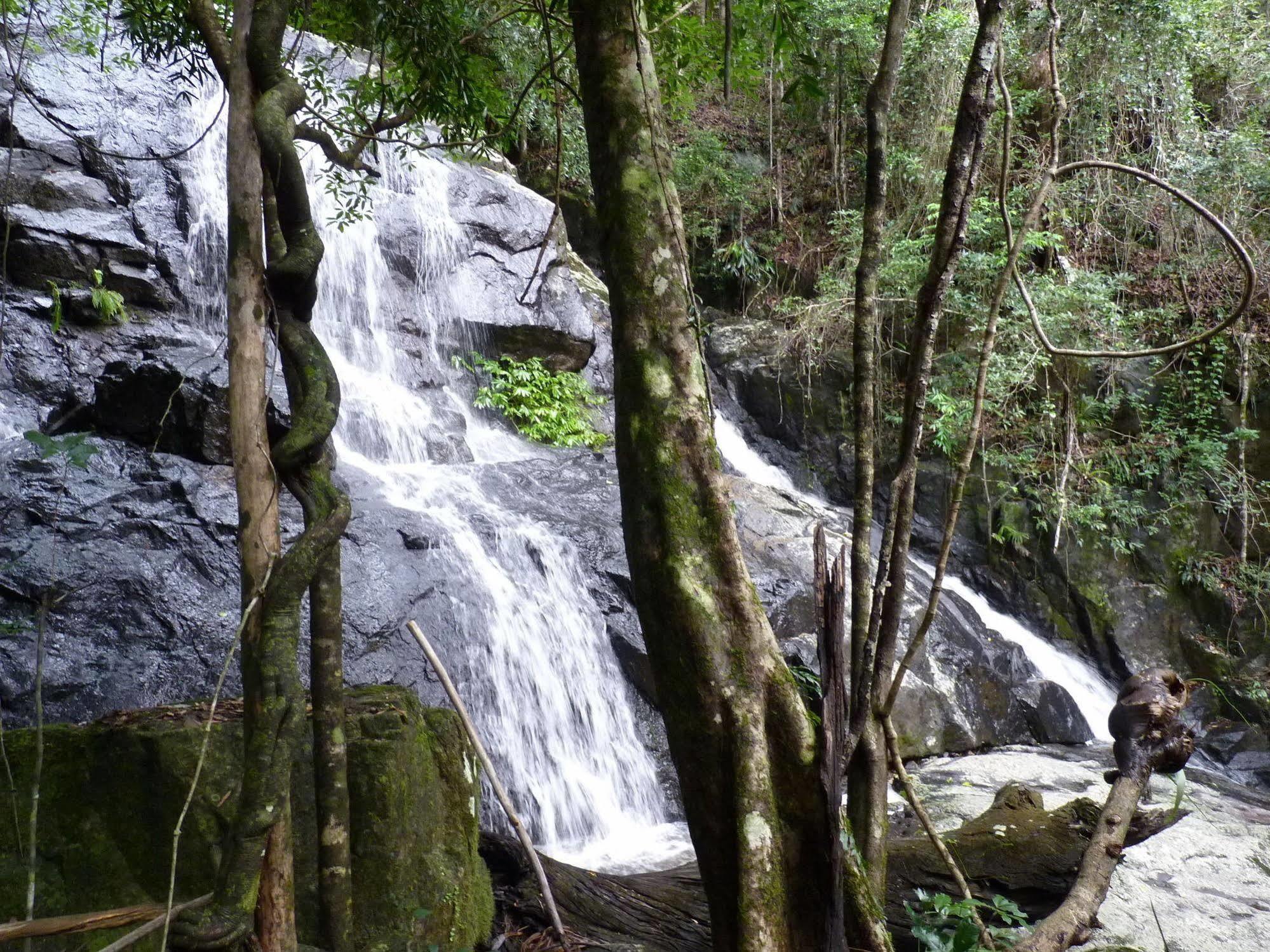 Bellthorpe Stays Maleny Esterno foto