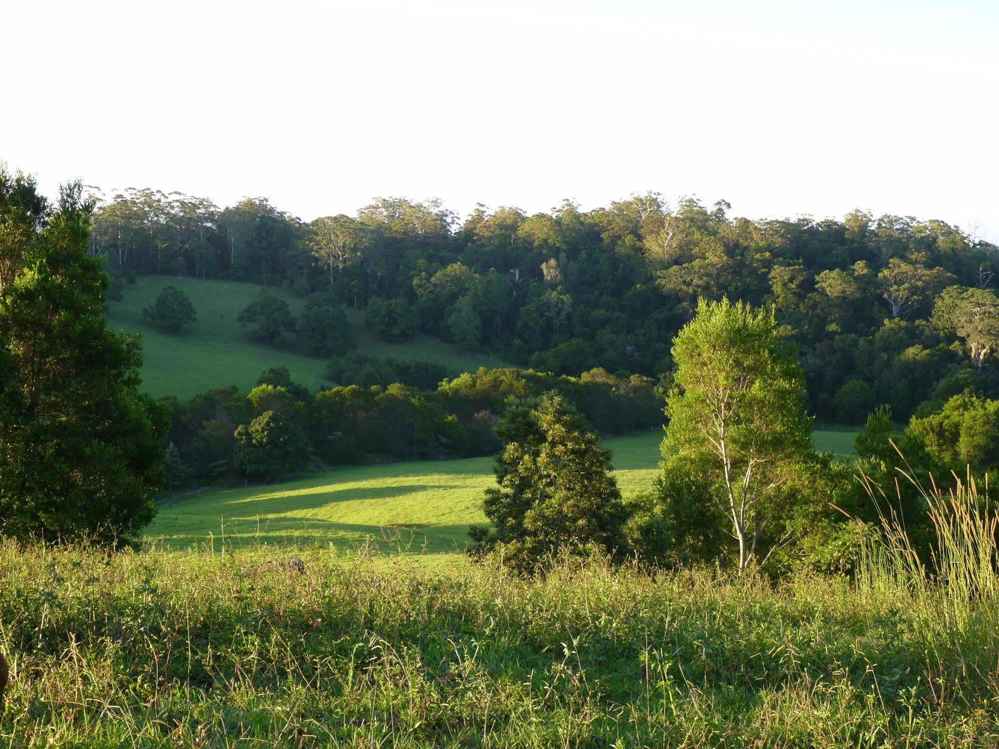 Bellthorpe Stays Maleny Esterno foto