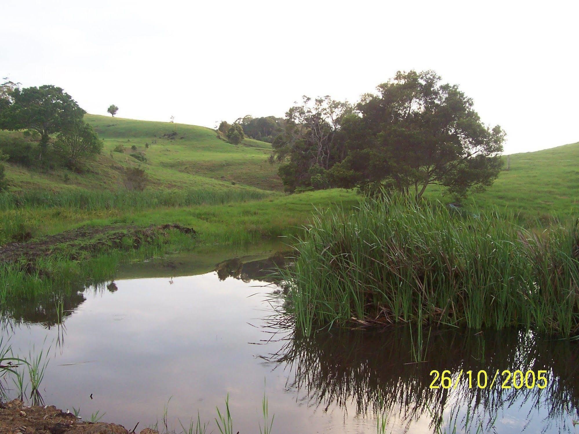 Bellthorpe Stays Maleny Esterno foto
