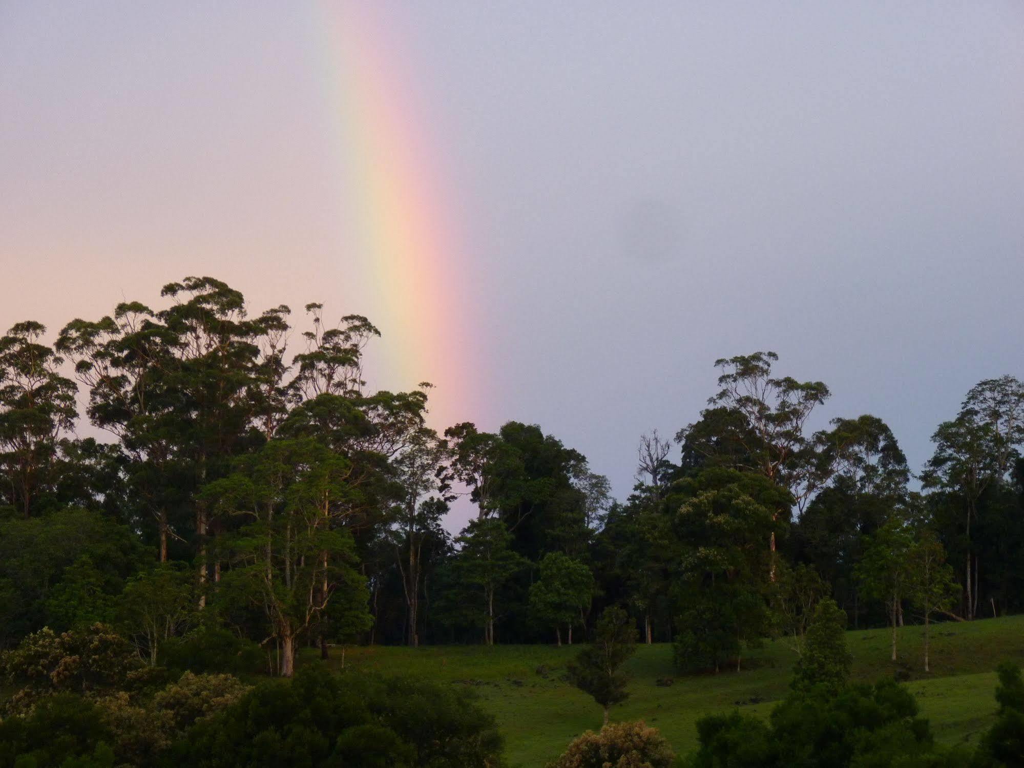 Bellthorpe Stays Maleny Esterno foto