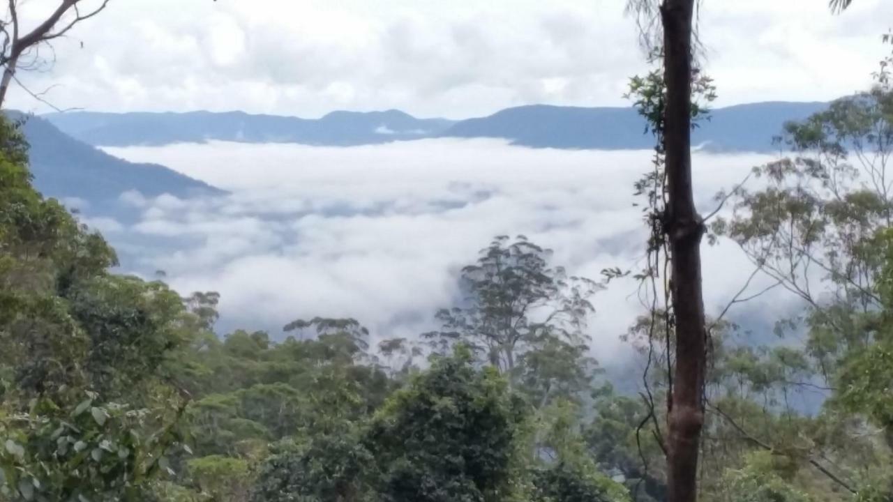 Bellthorpe Stays Maleny Esterno foto